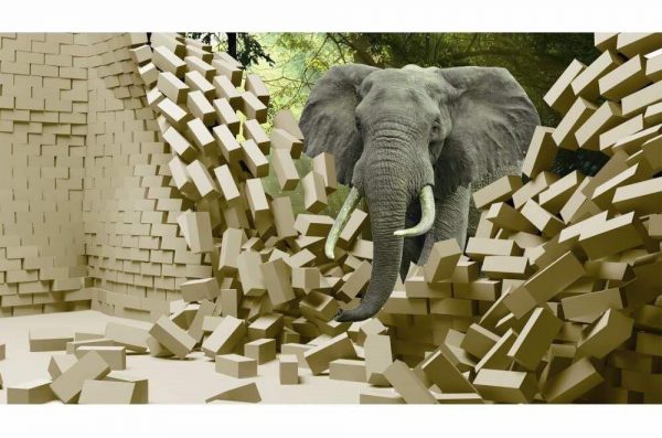 Graceful Elephant in Forest Wall Art